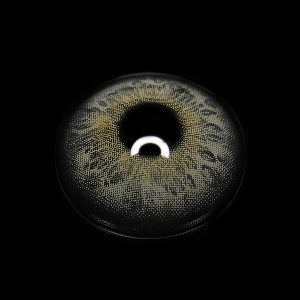 Kelly Gray Coloured Contact Lenses